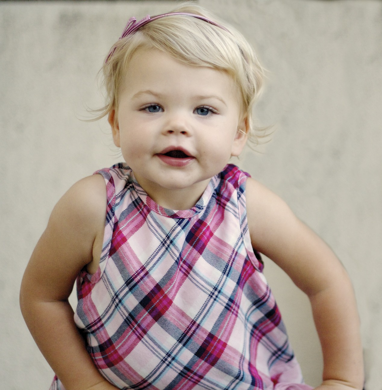 самые милые животные. шпиц и чихуахуа. красивые щенки. Ufup兔兔. Really cute.