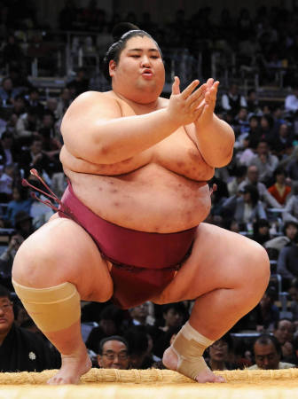 big-sumo.jpg