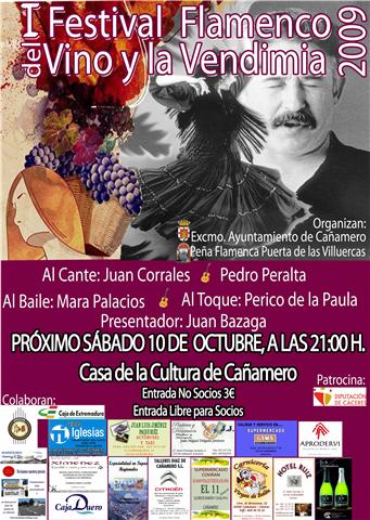 [I+FESTIVAL+FLAMENCO+DEL+VINO+Y+LA+VENDIMIA.jpg]