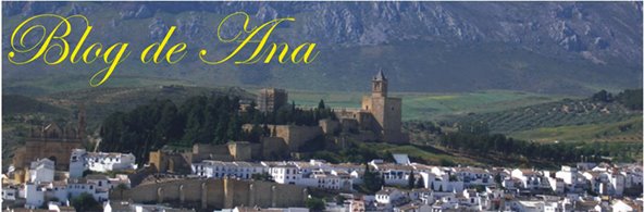 Mis experiencias en cursos