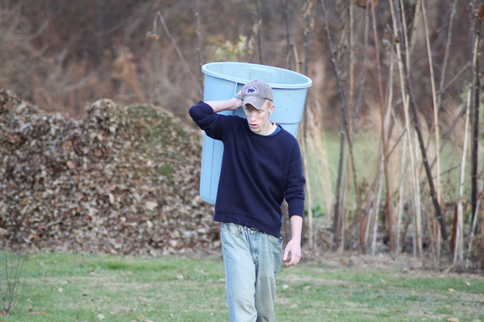 Gardening for Wildlife: November 2010