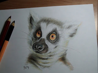 Kiki cartoon ring-tailed lemur catta drawing