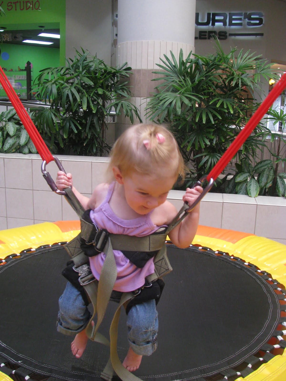 Family of Four Bungee Jumping