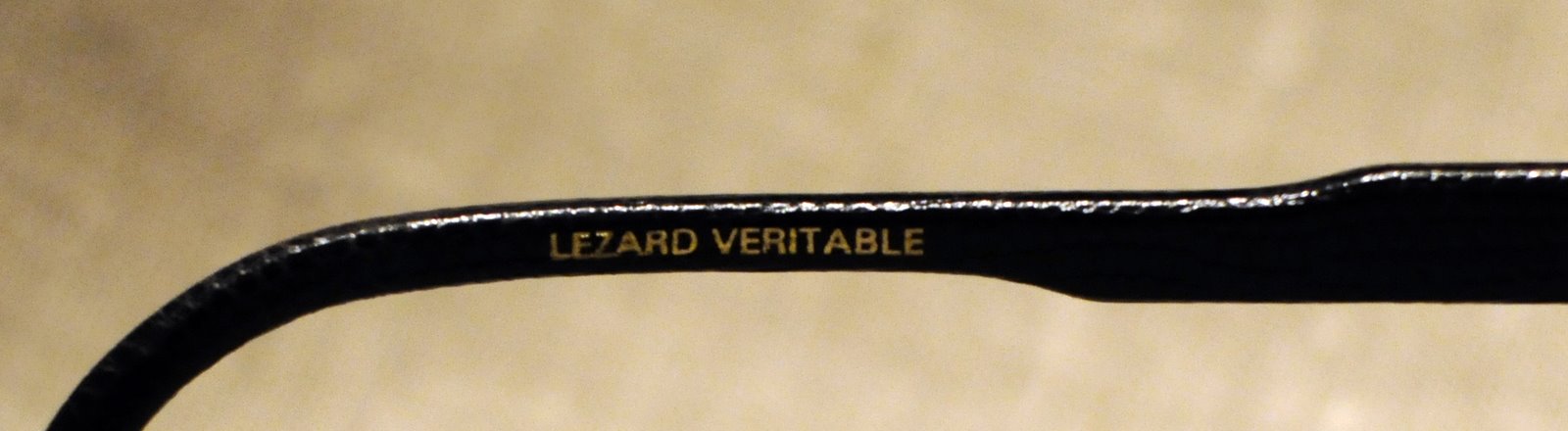 [lezard4.jpg]