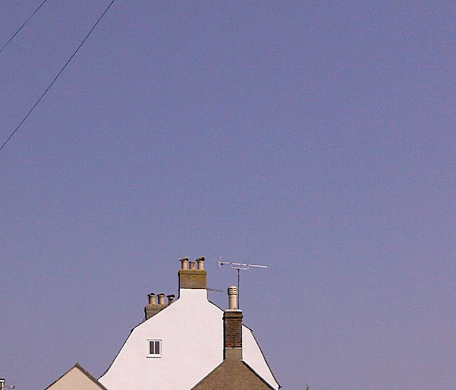 ROOFS AND WIRES