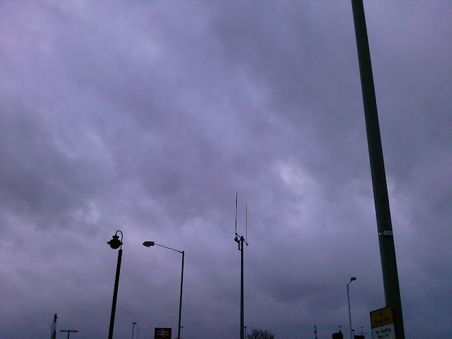 TALL THINGS AGAINST A LATE EVENING SKY IN WOKINGHAM