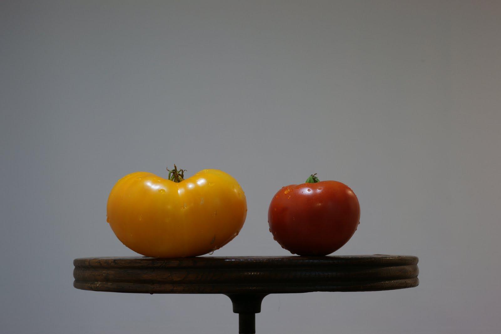 The Friedman Archives Blog Lessons from Shooting Radioactive Tomatoes