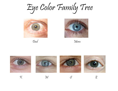 Finally! A Captive Audience: Eye Color Family Tree