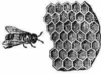 Bee Comb