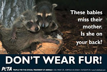 Don't Wear Fur