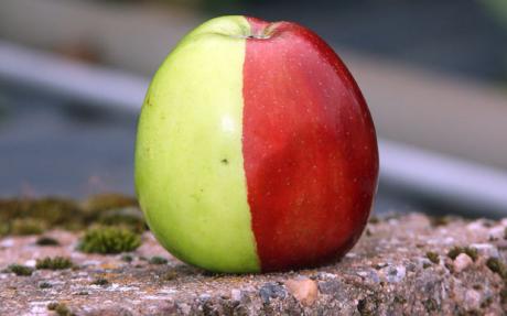 apple.jpg