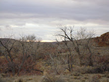 Ancient Civilizations Hide Their Secrets Beneath the Sand and Sage: Chaco Canyon