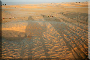 sombras en el desierto