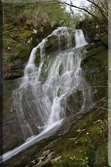 Barranco de Arbe