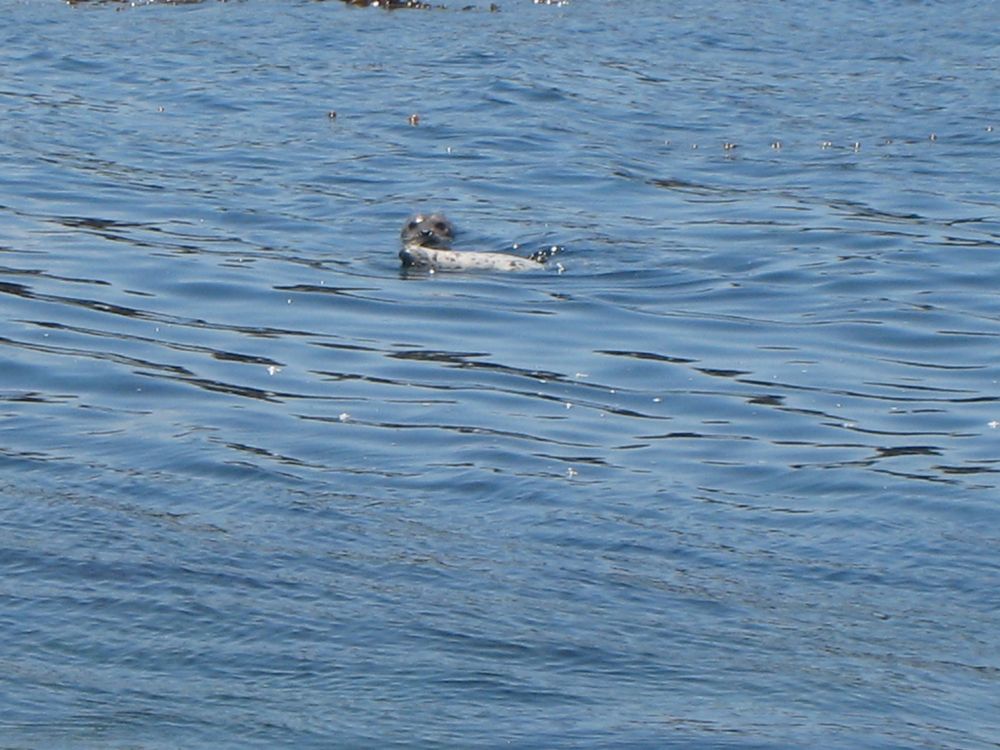 [IMG_7151.jpg]