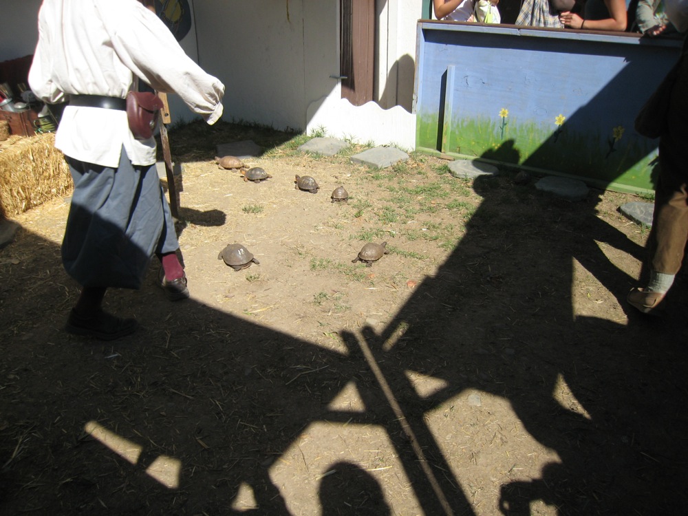 [IMG_8925.jpg]