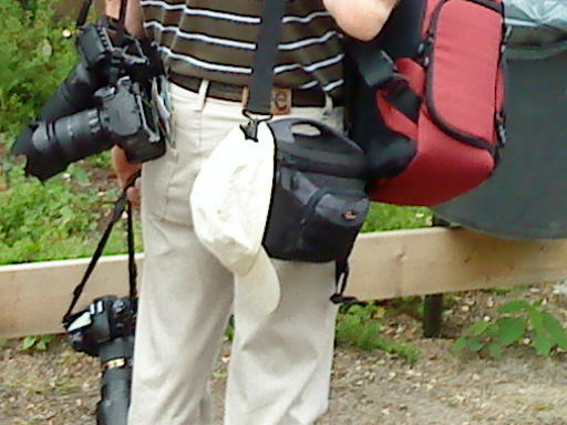 [image-upload-13-767949.jpg]