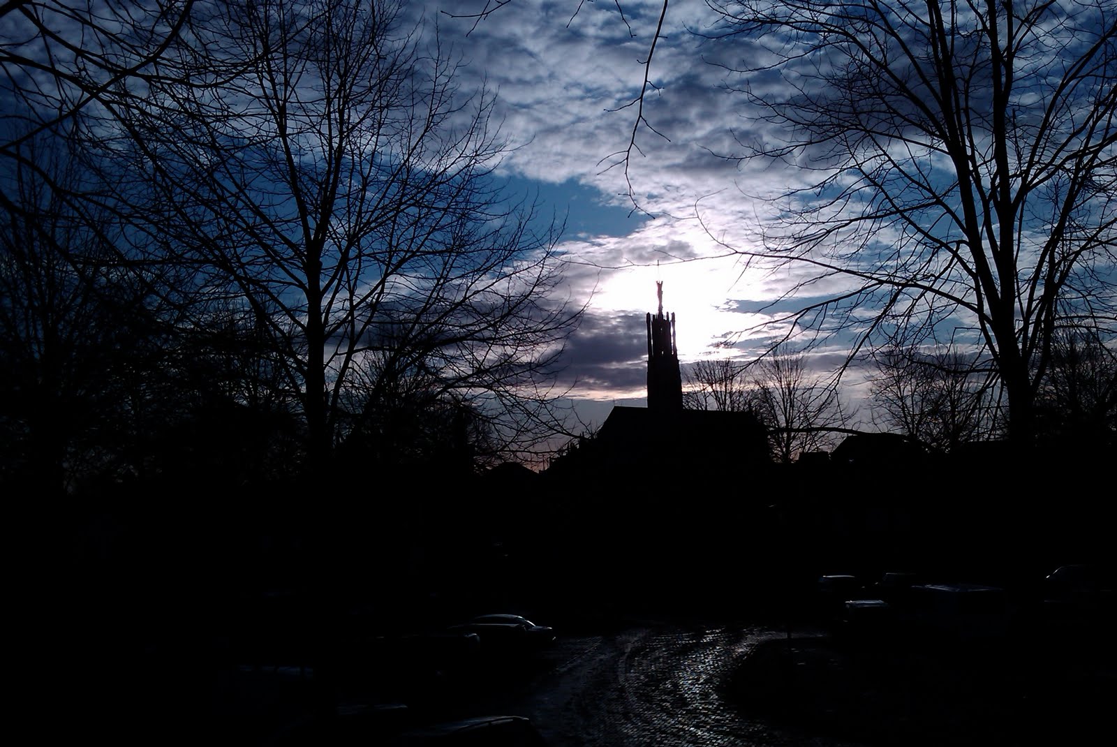 [IMAG0142-731576.jpg]