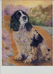 Dog2