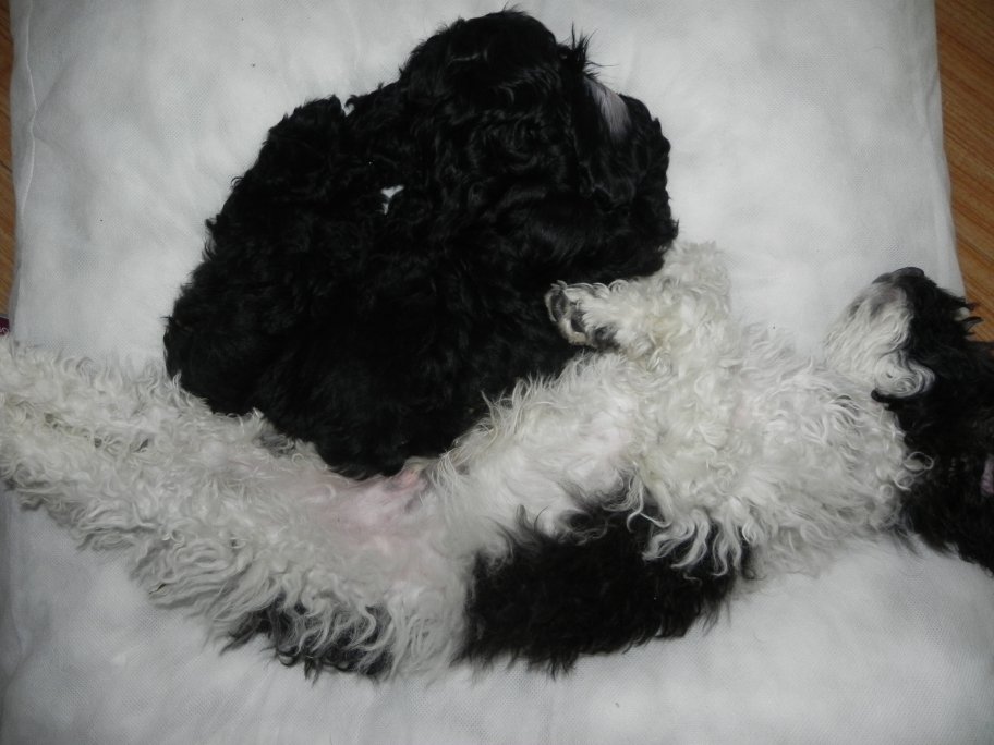 Rooms for Rent Peterborough Ontario