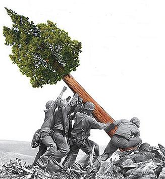 [war+and+conservation+biology]