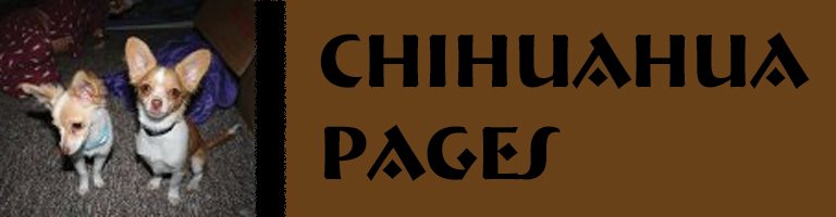 Chihuahua Pages