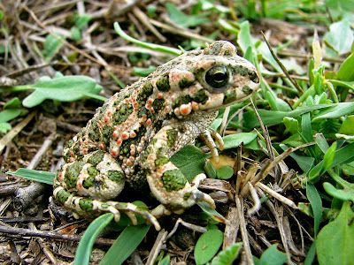 THE GATE BUILDING visual data 6