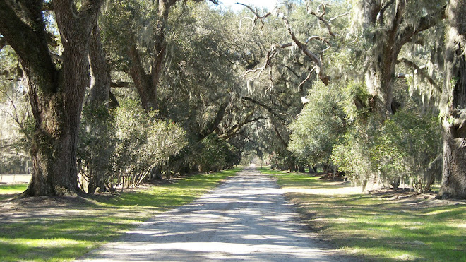 Mansfeild Plantation Oak Alley