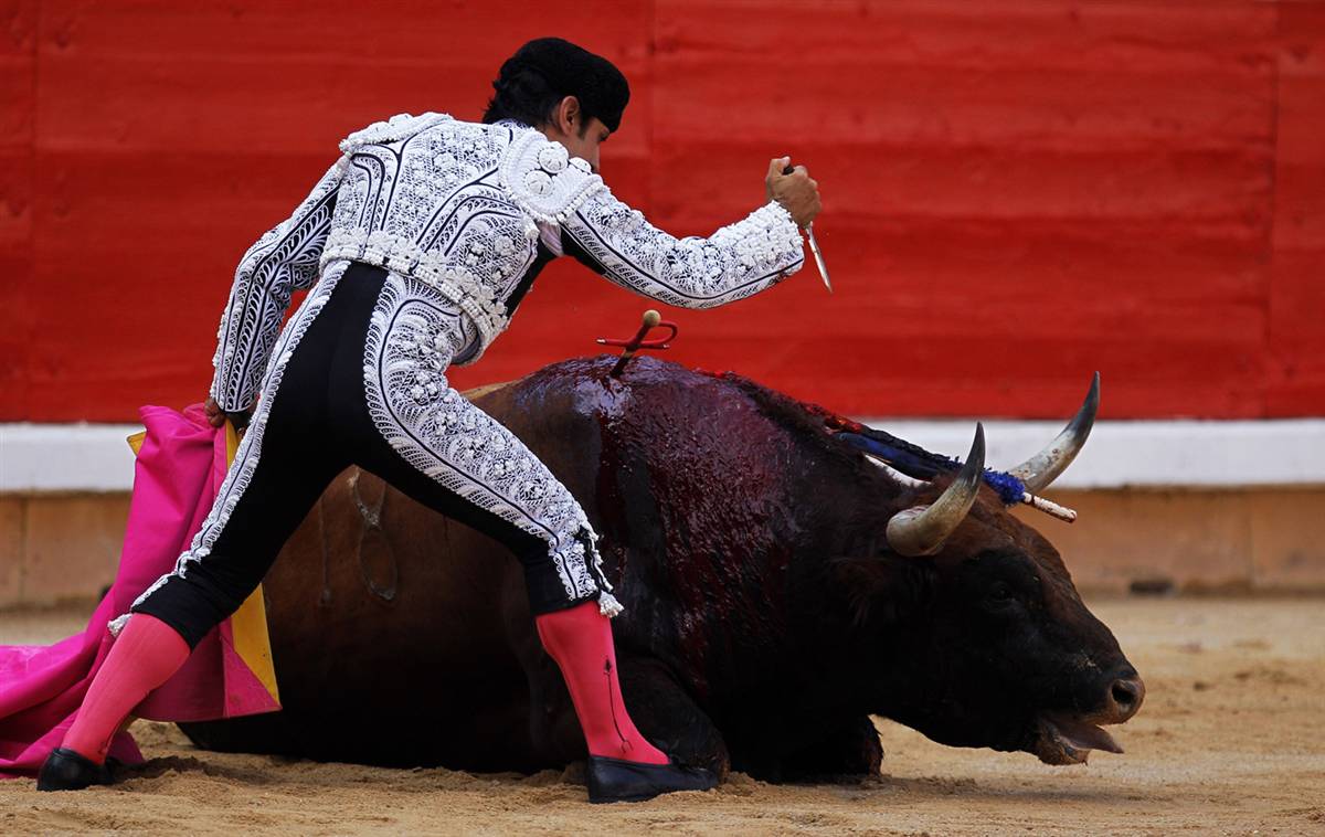 Global Attractions Spain Celebrates Bull Fight in Pamplona