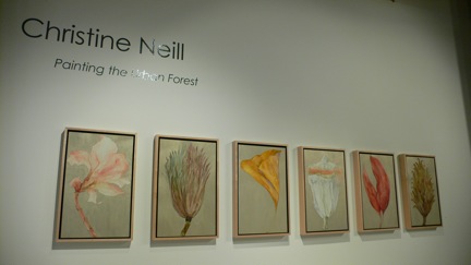 [P1070552.JPG]