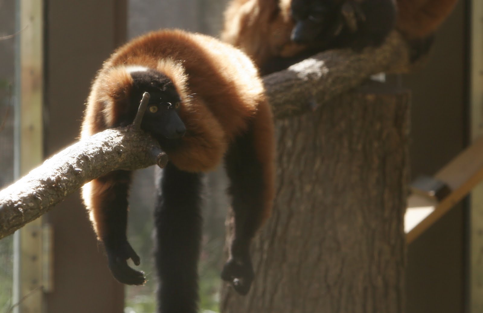 Kansas City Zoo
