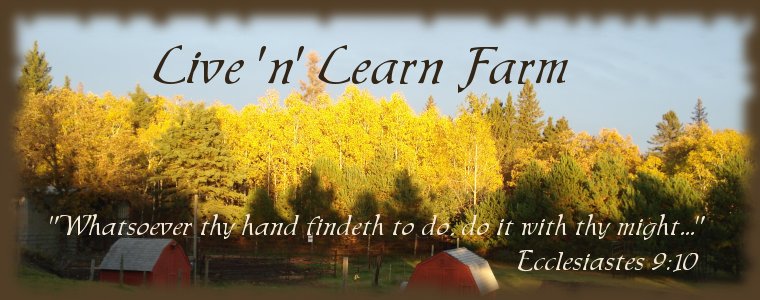 Live 'n' Learn Farm