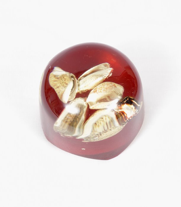 [Vintage+paperweight+-+holiday+shells+-+www.ShopCurious.com.jpg]