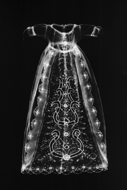 ShopCurious: The curious art of camera-less photography