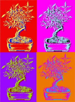 Examen efecto Andy Warhol