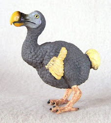 dodo bird birds activity