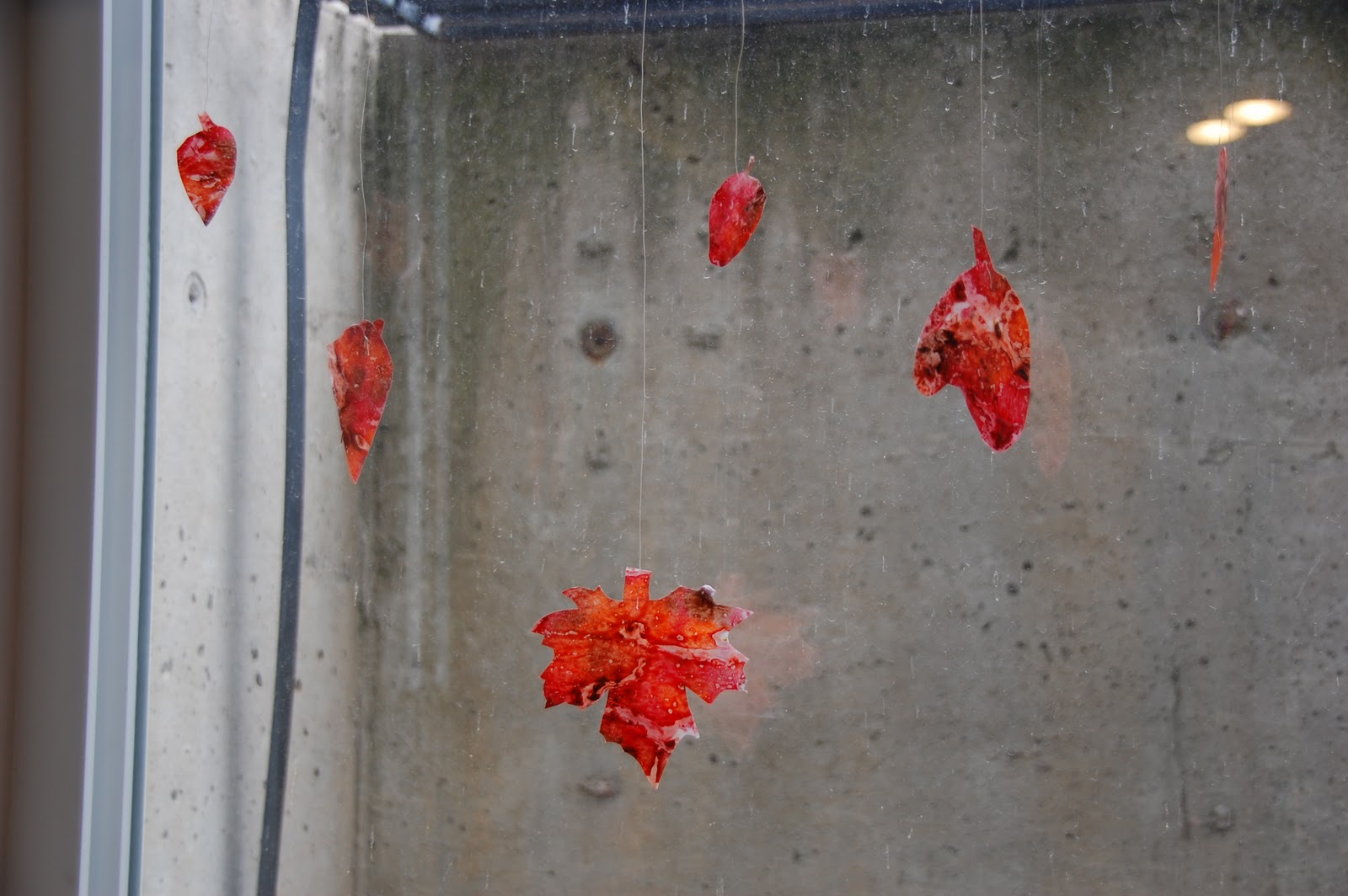 Amanda Creates: Preschool - Fall Theme