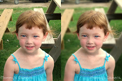 background bokeh gimp using software blurring blur mommy camera tutorial editing