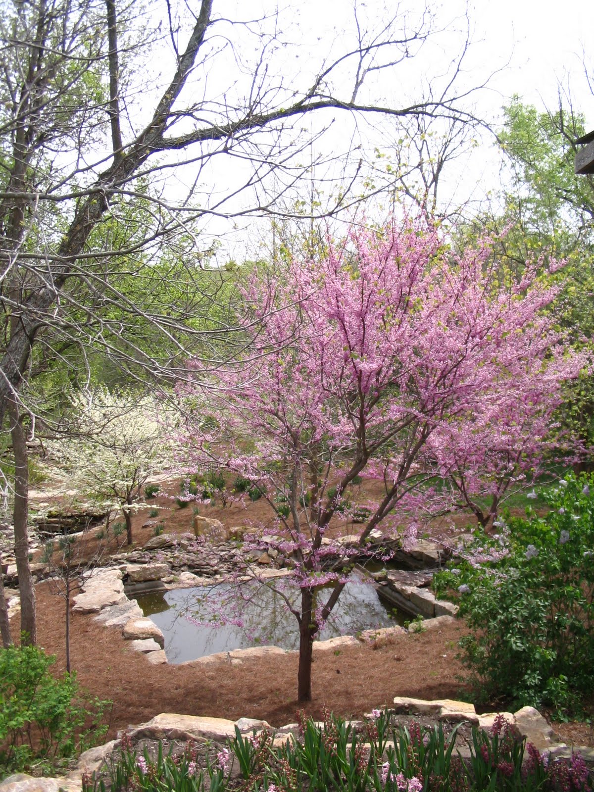 KansasKraut Overland Park Arboretum