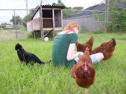 chickens hanging daughter cat happy