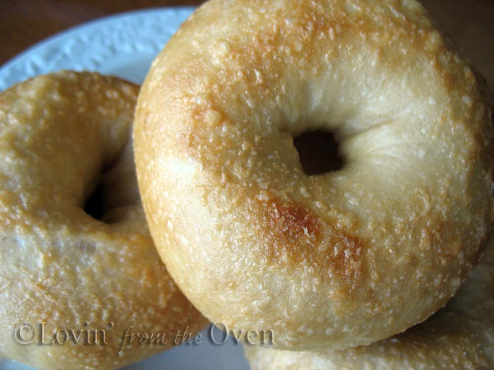 Frieda Loves Bread Chewy Bagels You Have to Make These!!