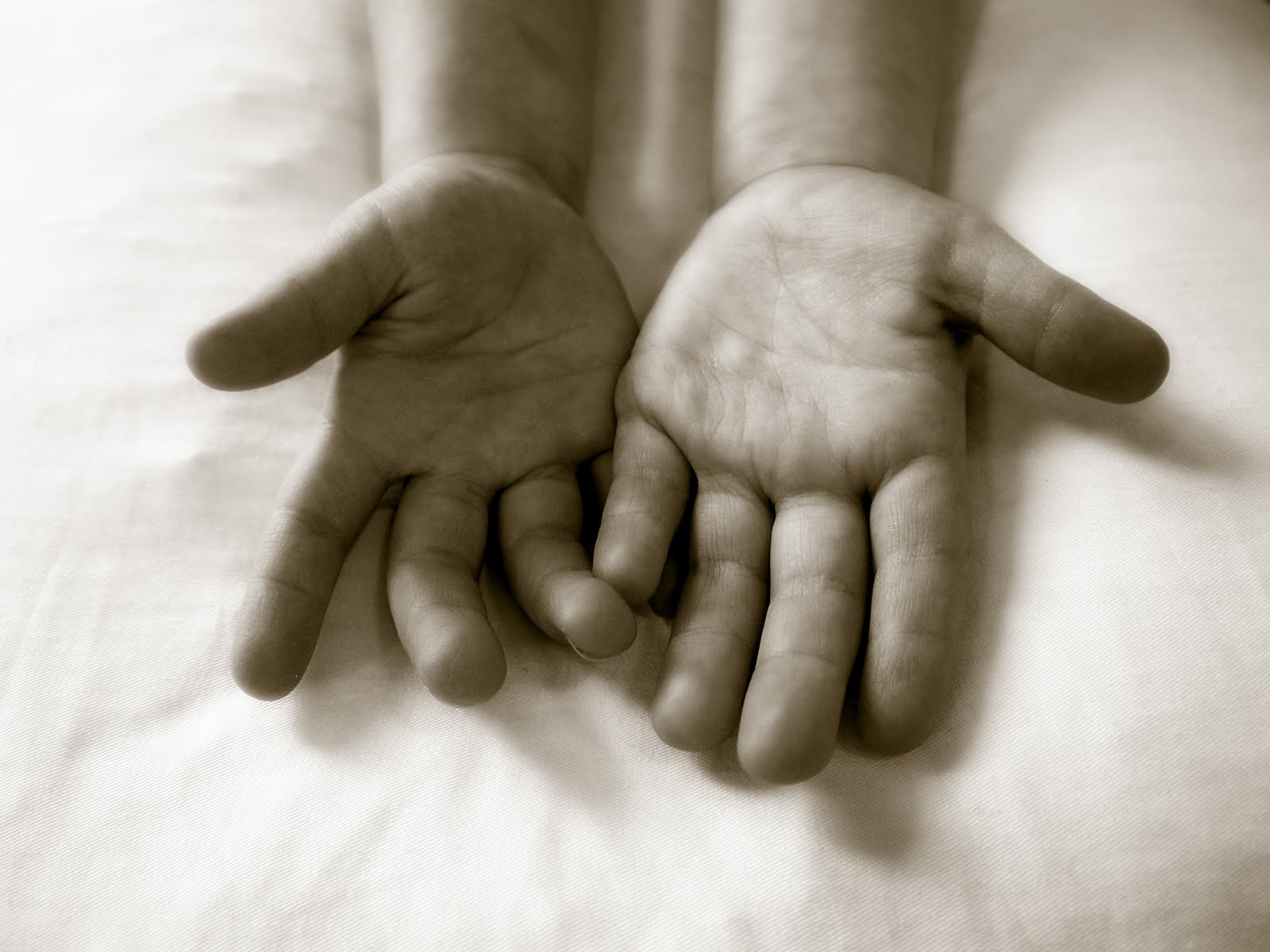 jennifer cho salaff: Open hands