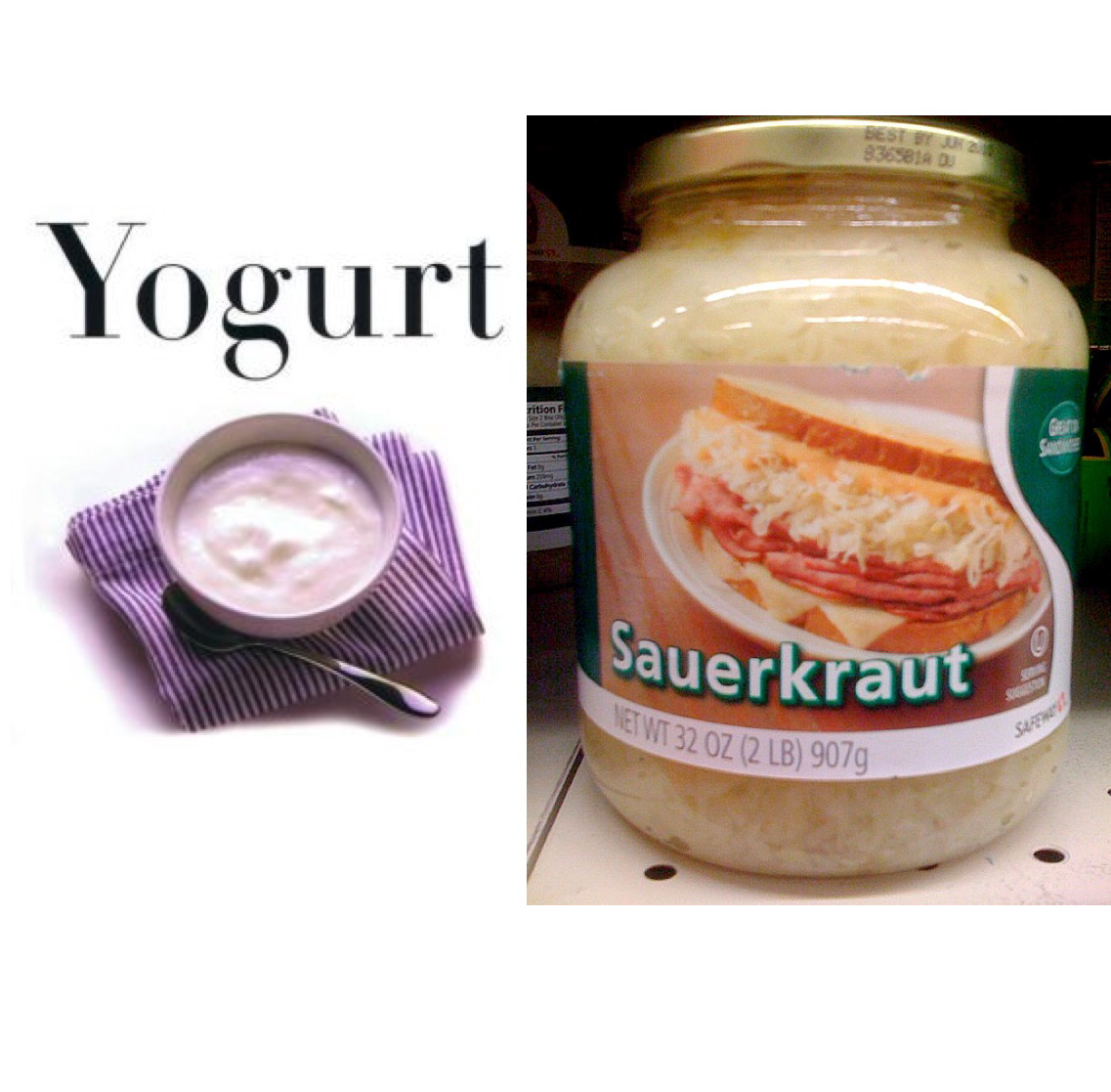 Campus Crops Fermentation Yogurt and Sauerkraut