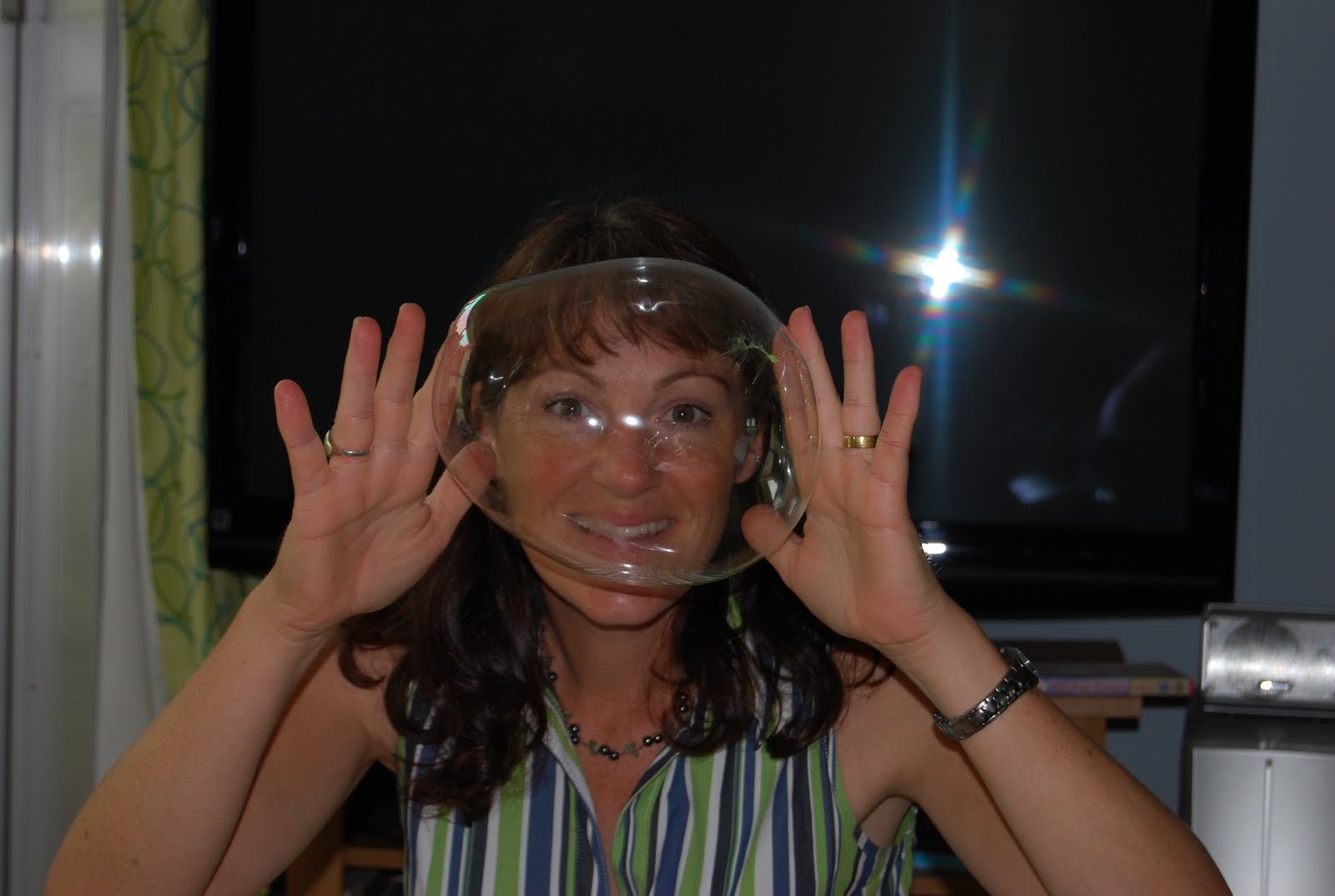 Japan Journal Japanese Bubbles