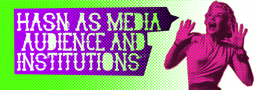 HASN AS Media Audience and Institutions