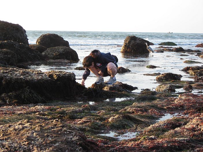 Today in Nature Cabrillo Tide Pools 11/23 and 11/24