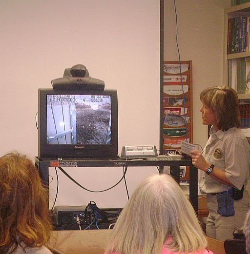 [library1.jpg]