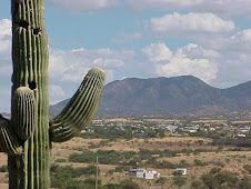 View from front yard