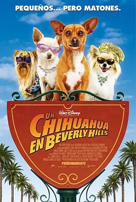 [Un+chihuahua+en+Beverly+Hills.jpg]