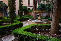 [lindaraxa+garden+6.jpg]